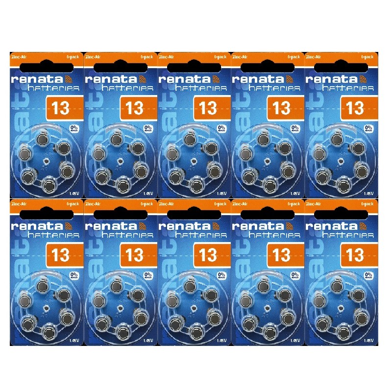 POWERDEAL 60 PCS  RENATA 13, PR48