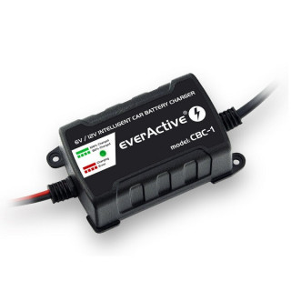 INTELLIGENTE ACCULADER 6/12v 1,0Ah