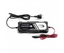 INTELLIGENT PROF. CHARGER 12V/24V 10Ah