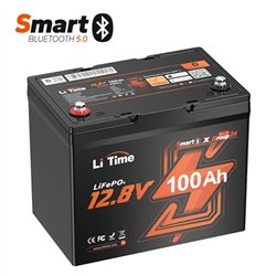 LiTime 12VOLT 100AH LiFePo4 GROUP24