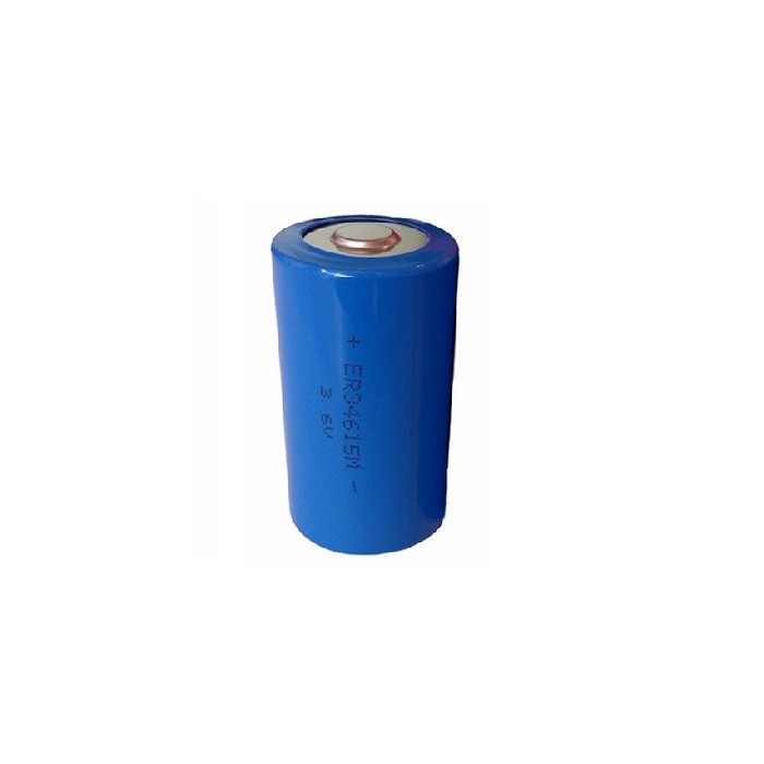 ER34615M, lithium batterij 3,6volt Dsize